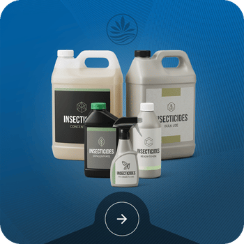 Insecticides Image
