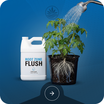 Flushing Agents Image