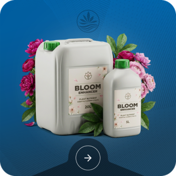 Bloom Boosters Image