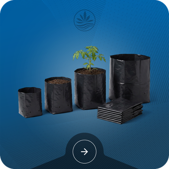 Grow Bags Image