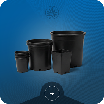 Plant Pots Image