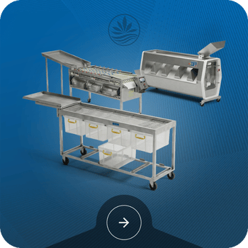 Harvest Sorting Machines Image