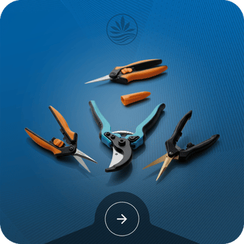 Trimming Scissors, Pruners & Shears Image