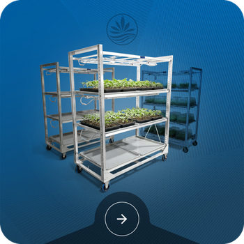 Cloning Rack
