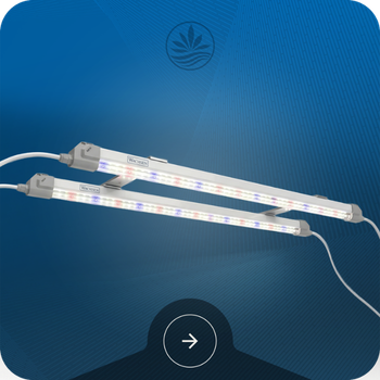 Seedling Clone Lights