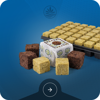 Seed Starting Medium