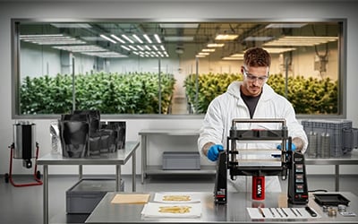 Post-Harvest Equipment and Solutions