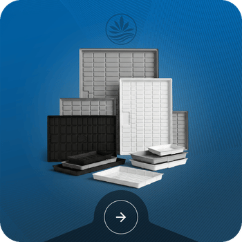 Hydroponic Trays Image