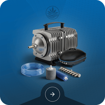 Water Aeration Image