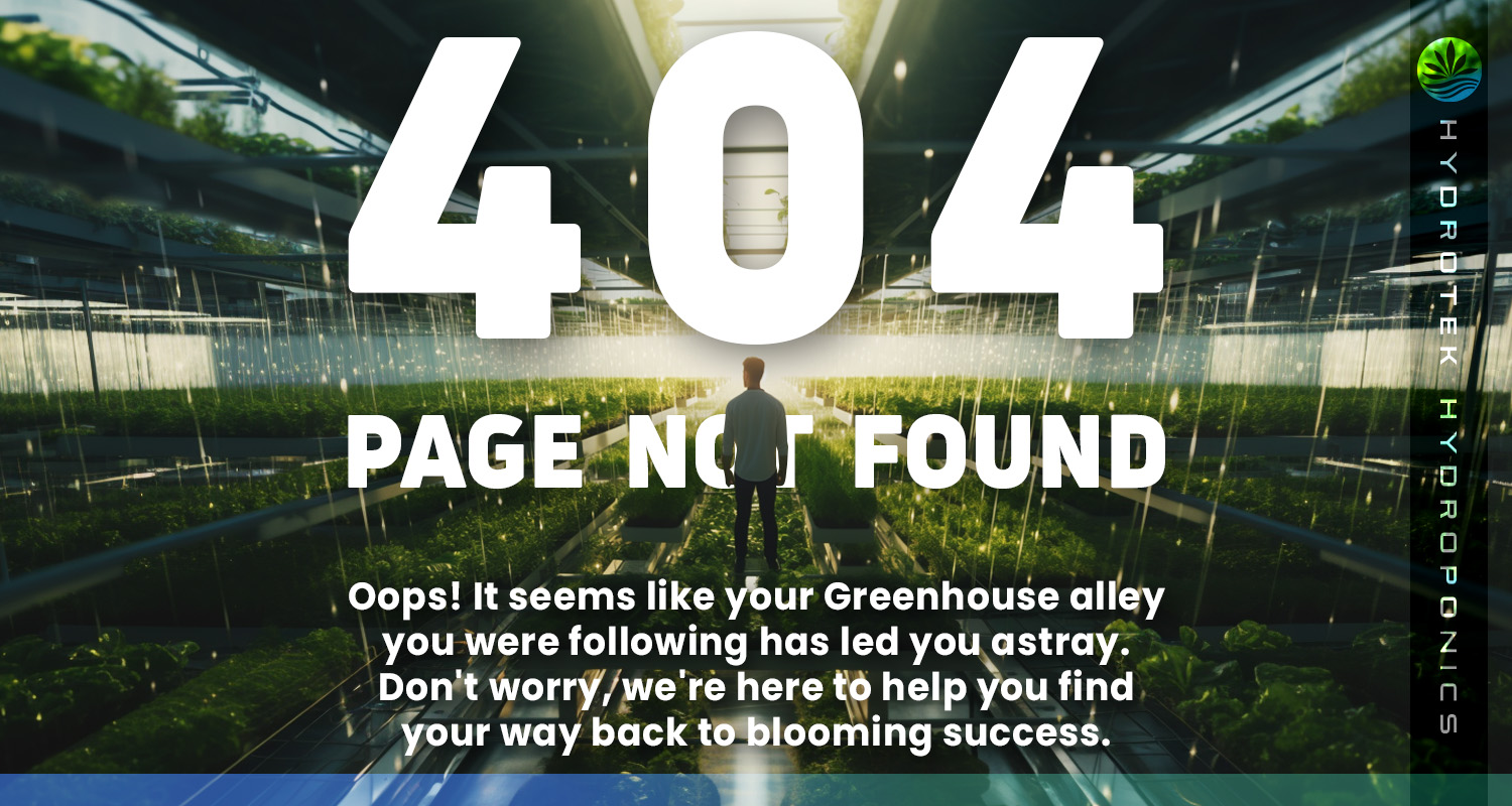 404 Page not found picture