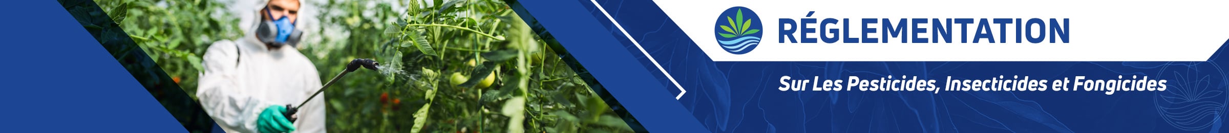 Réglementation sur les pesticides Réglementation sur les pesticides bannière