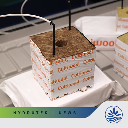 Cultiwool ECO unveiled at MJBizCon 2023