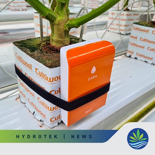 Smart root zone monitoring in stone wool cultivation Image